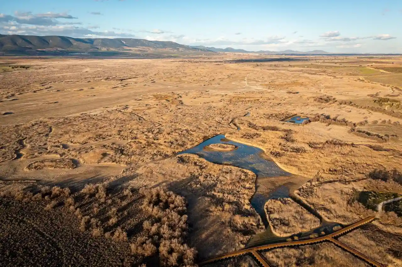 Tablas de Daimiel / Foto: WWF