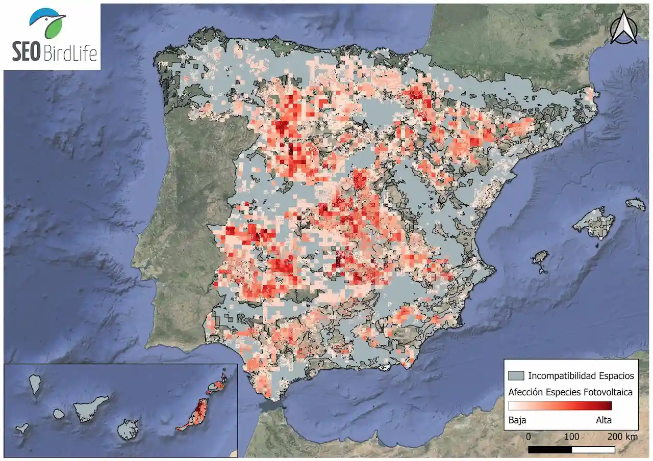Mapeo de las zonas críticas al impacto negativo del desarrollo de las energías renovables en las aves / Imagen: SEO/BirdLife