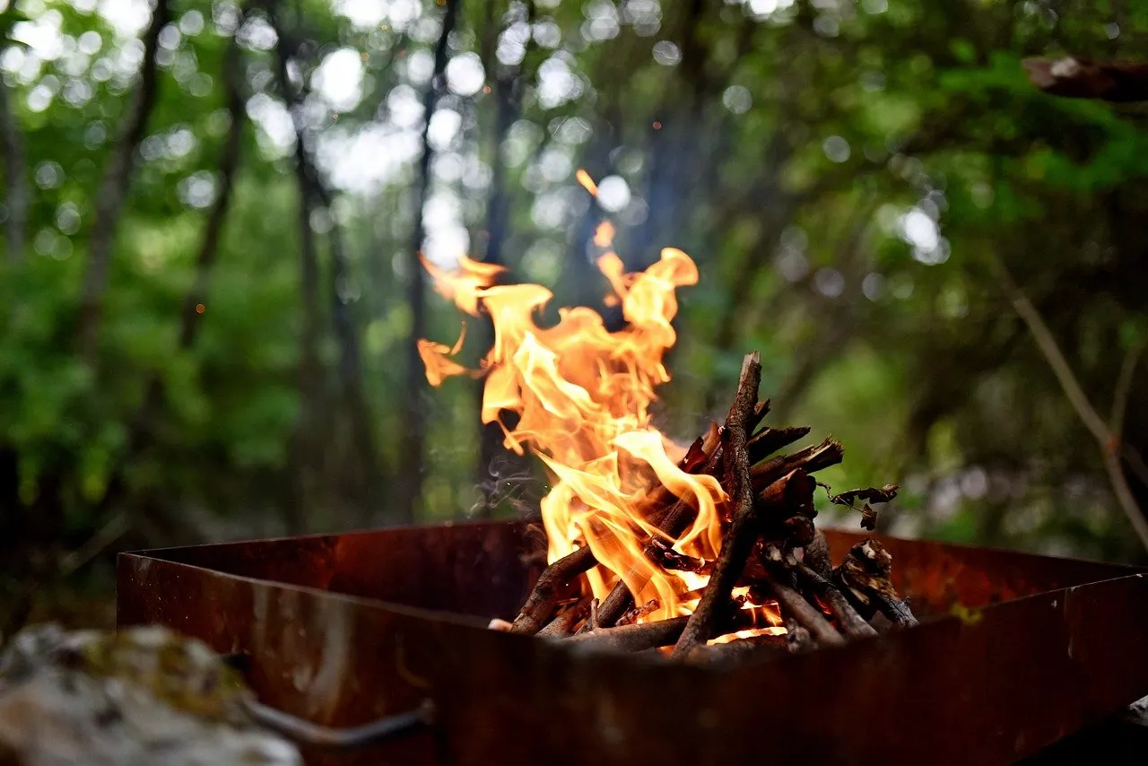 La Generalitat prohibe hacer fuego en terrenos forestales / Foto: PB
