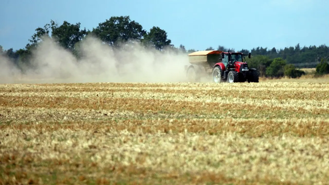 La CE  eximirá de sanciones y controles ambientales a los pequeños agricultores / Foto: EP