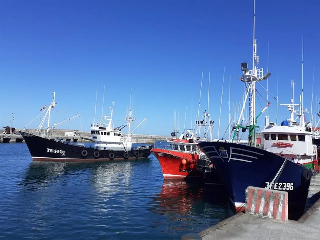 Pescadores de toda España  recogen más de 150 toneladas de basura marina / Foto: EP