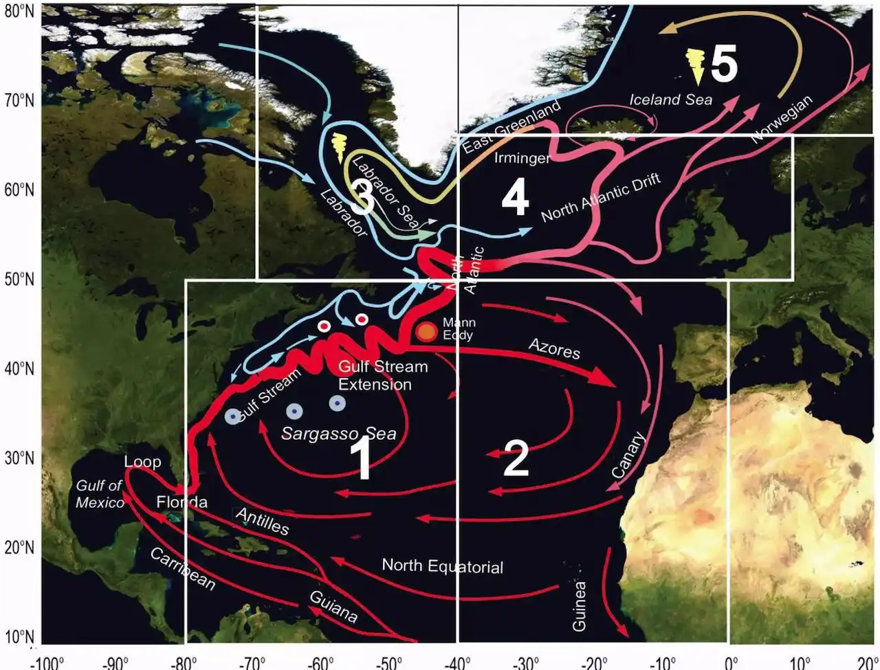 Desaceleración de las corrientes atlánticas / Imagen: Frontiers in Marine Science