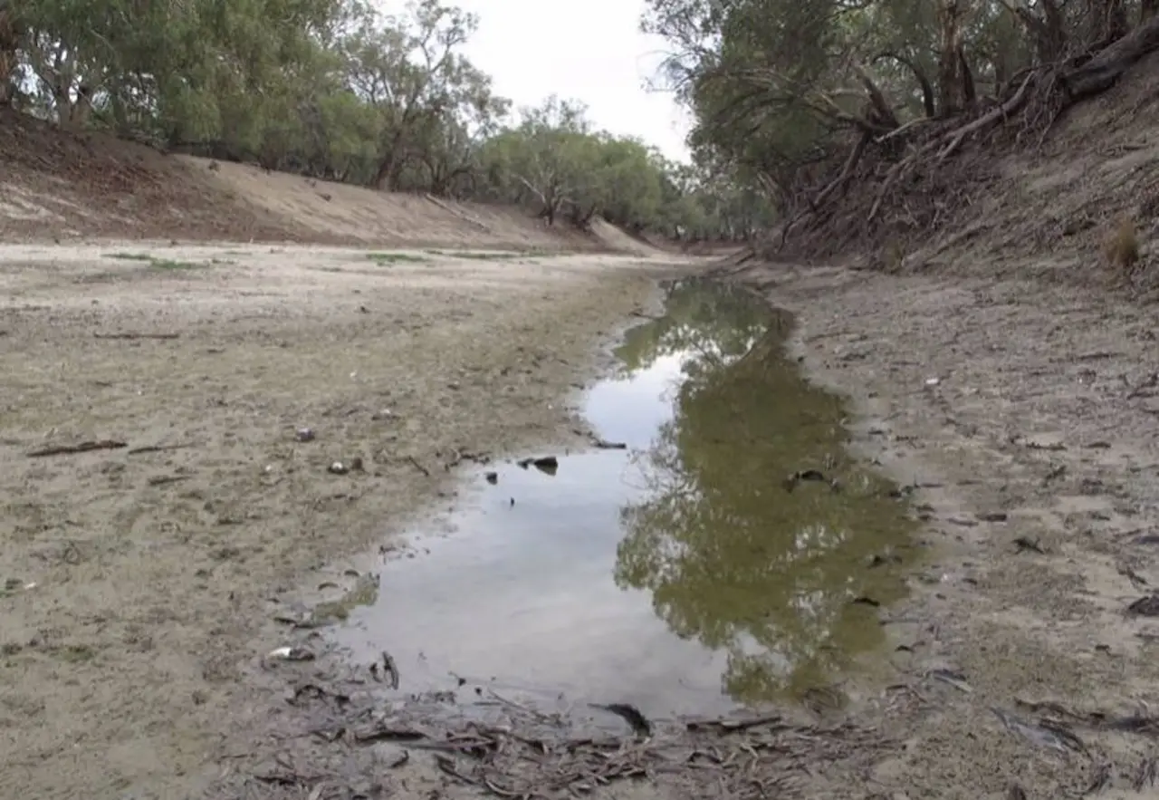 Australia podría sufrir una megasequía. Sequía en la cuenca del Murray-Darling / Foto: EP