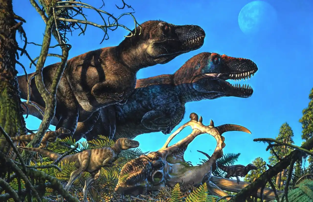 Nanuqsaurus y pachyrhinosaurus, las especies de dinosaurios incluidas en un nuevo estudio / Imagen: James Havens