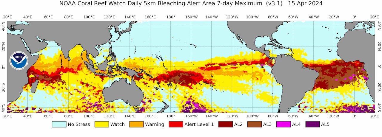 Alcance global del evento de blanqueamiento de corales en curso / Imagen: NOAA