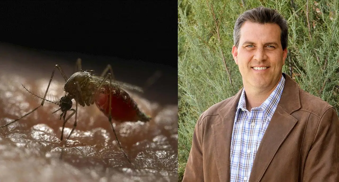 Los mosquitos son el depredador más letal de la humanidad, según el historiador Timothy Winegard / Imagen: SINC