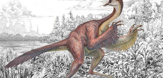 En 2014 se encontraron tres esqueletos parciales del dinousario 'Anzu wyliei', contemporáneo del 'T. rex' y el 'Triceratops' / Foto: ESF