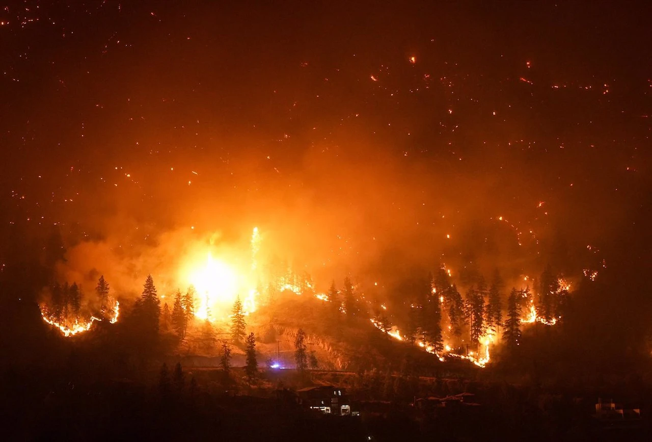 Los grandes incendios forestales en Canadá aumentan las tasas de fotosíntesis / Foto: EP