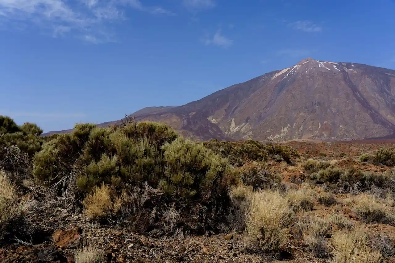 Ecotasa turítica. Parque Nacional del Teide / Foto: Cabido de Tenerife - EP