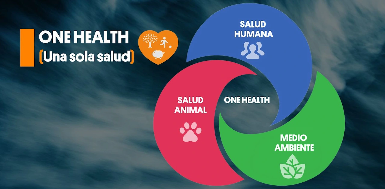 One Health (Una sola salud): una salud óptima para las personas, los animales y el planeta / Imagen: ISGlobal