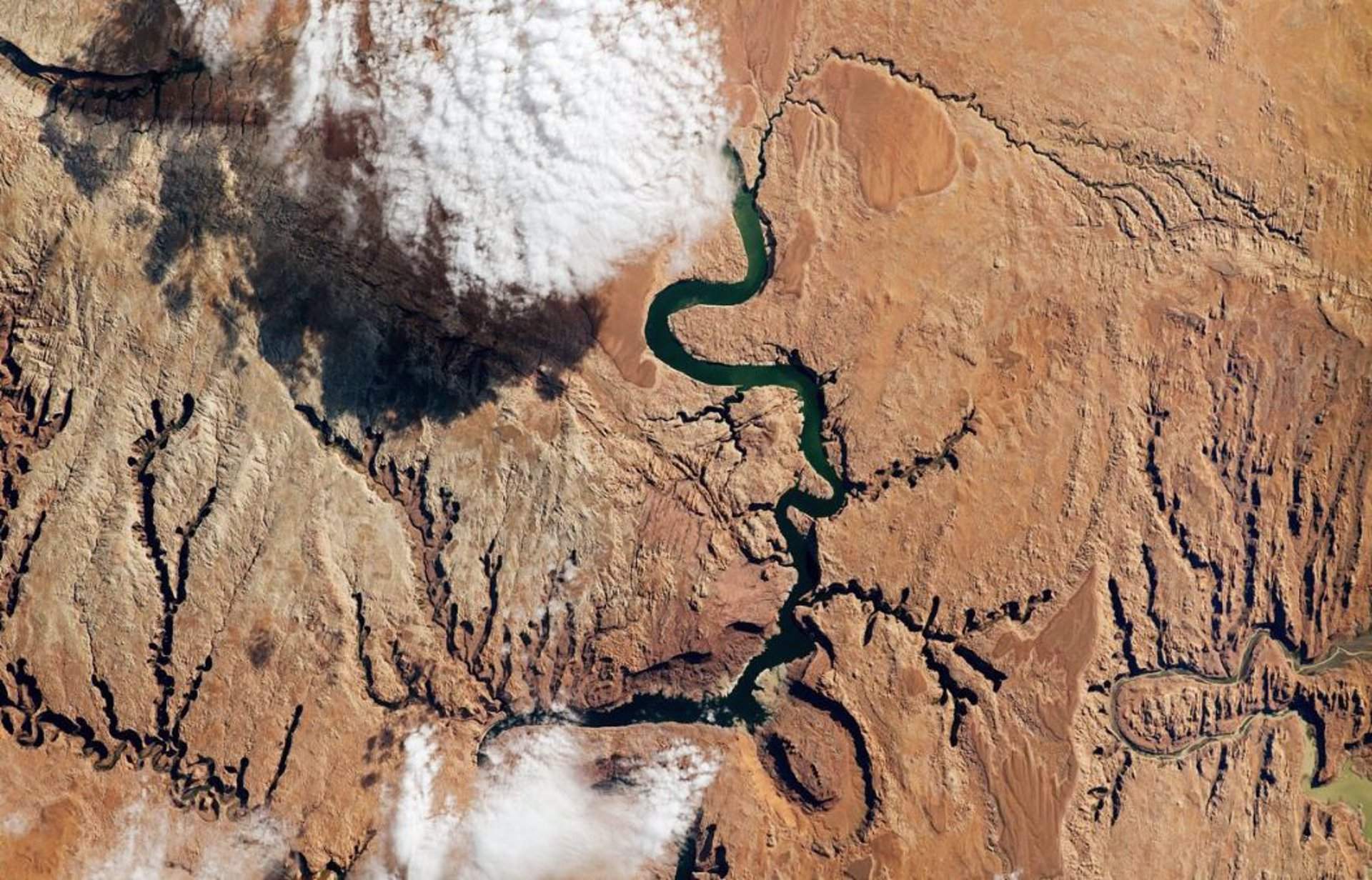 El río Colorado suministra agua a más de 40 millones de personas / Foto: NASA