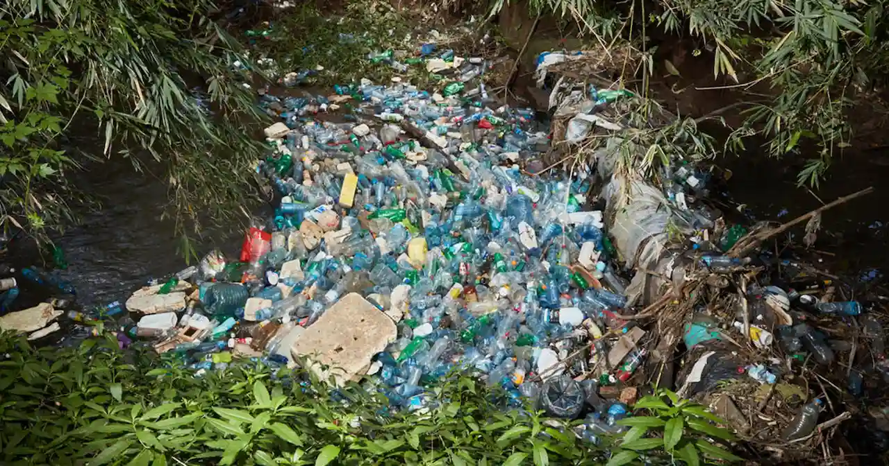 La contaminación plástica mundial / Foto: WWF