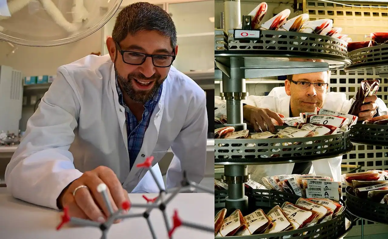 Los investigadores, Maher Abou Hachem y Martin L. Olsson, durante su investigación sobre enzimas / Foto: Cedida por los autores