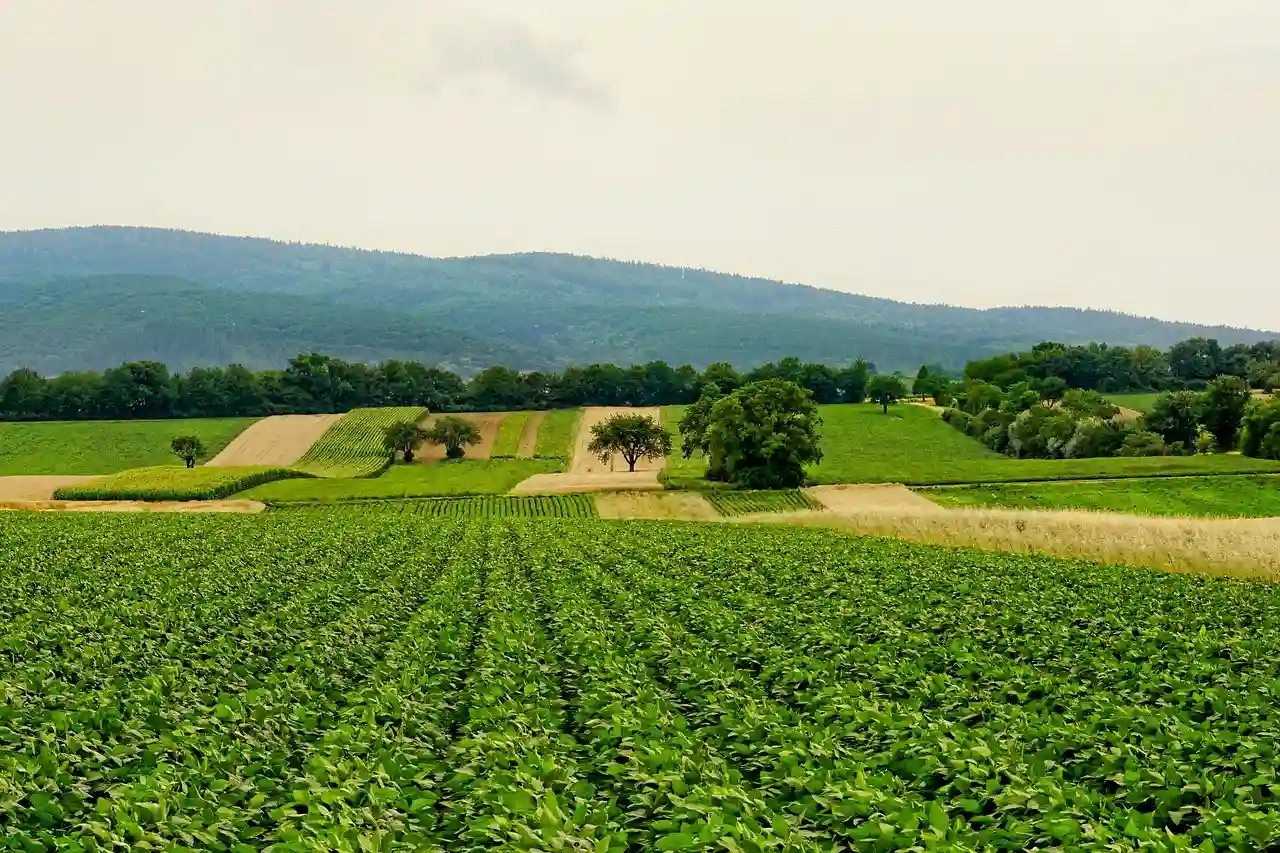 La nueva reforma de la PAC perjudica al mundo agrario / Foto: PB