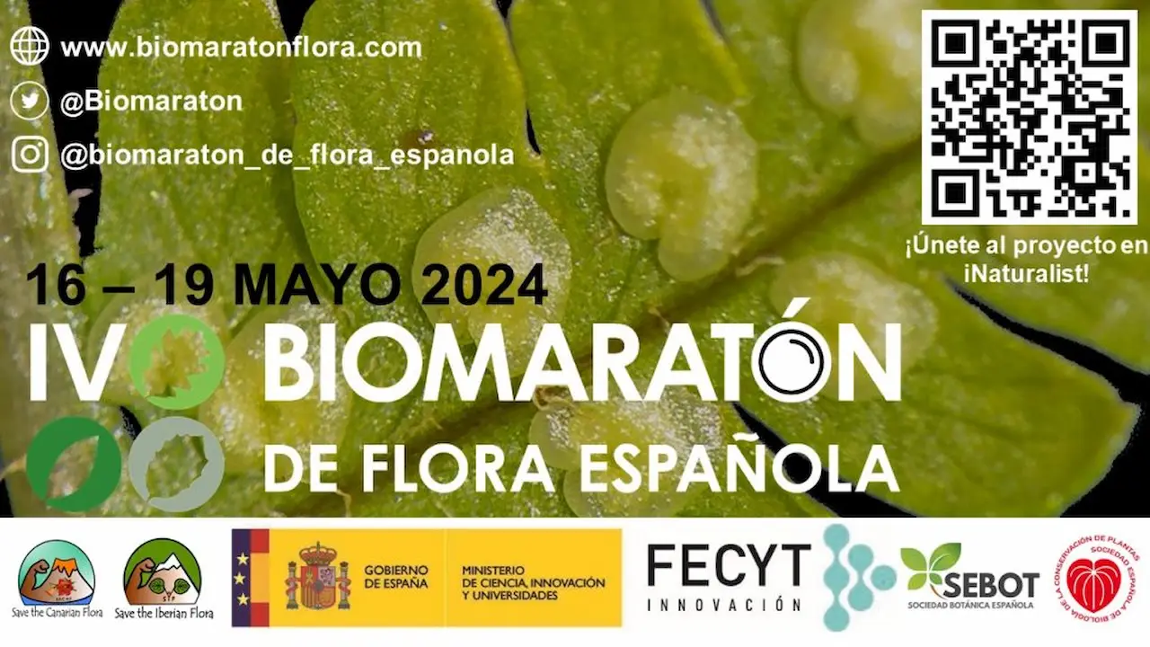 IV Biomaratón de Flora Española / Imagen: EP