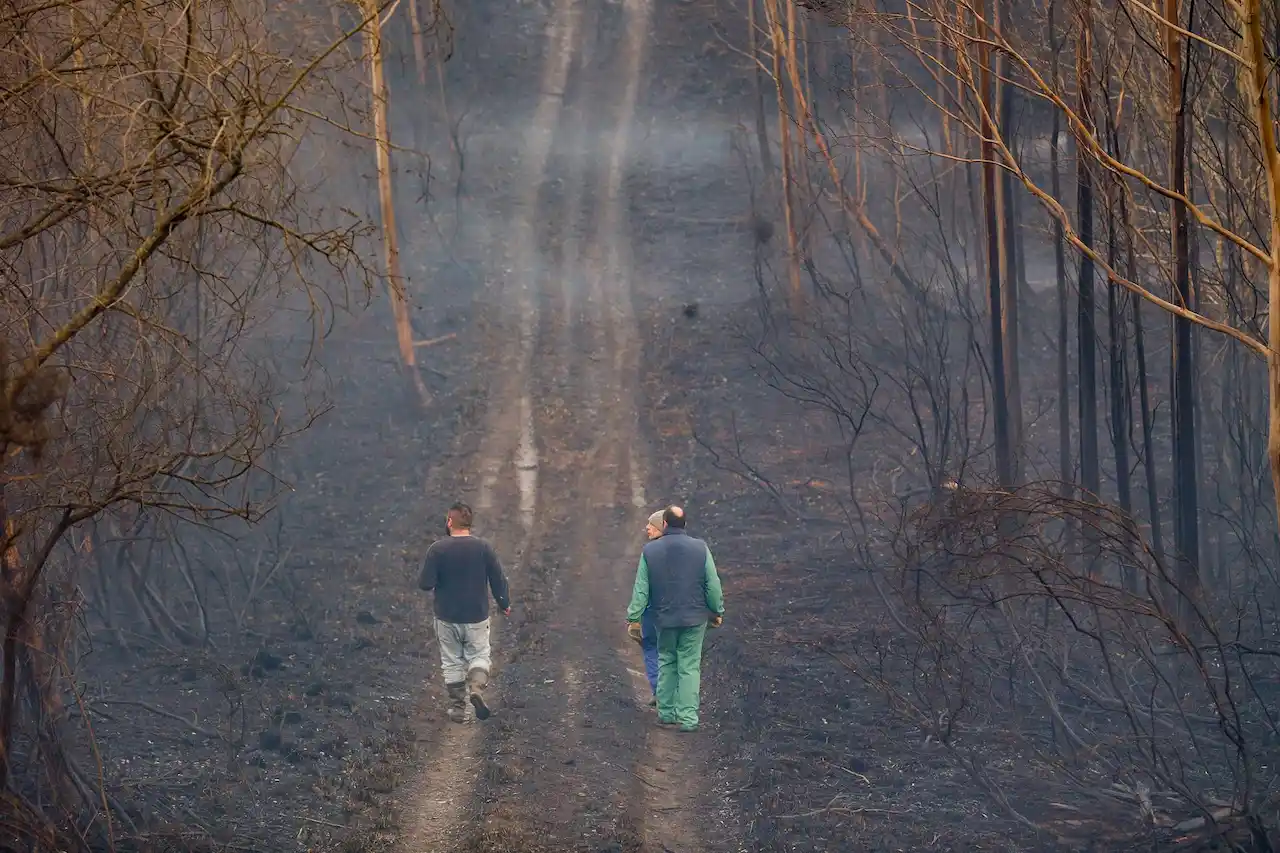 Pérdida de biodiversidad incrementa las enfermedades infecciosas. Agentes de los equipos de bomberos trabajan en el lugar del incendio, a 8 de febrero de 2024 / Foto: EP