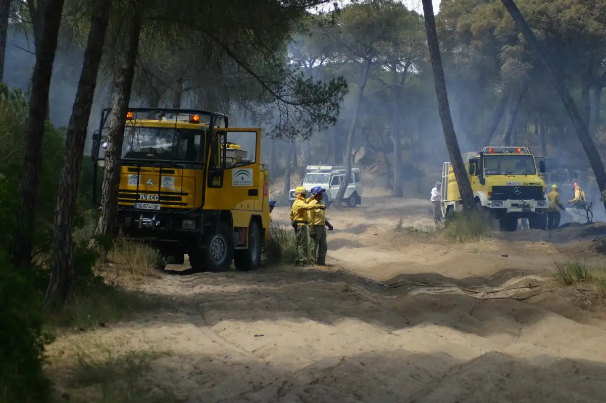 Foco incendio Vereda Sanlucar Marismillas (1)