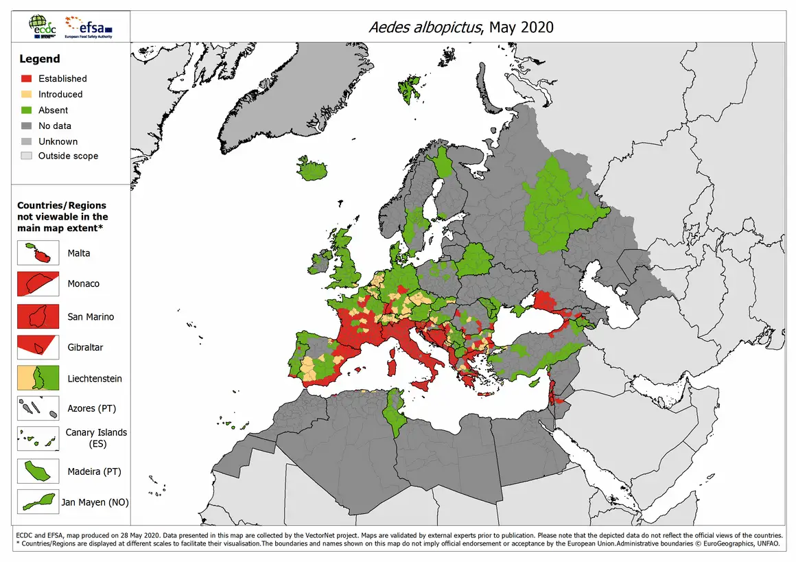 Aedes albopictus 2020 05 (1) Aedes albopictus 2020 05 (1)