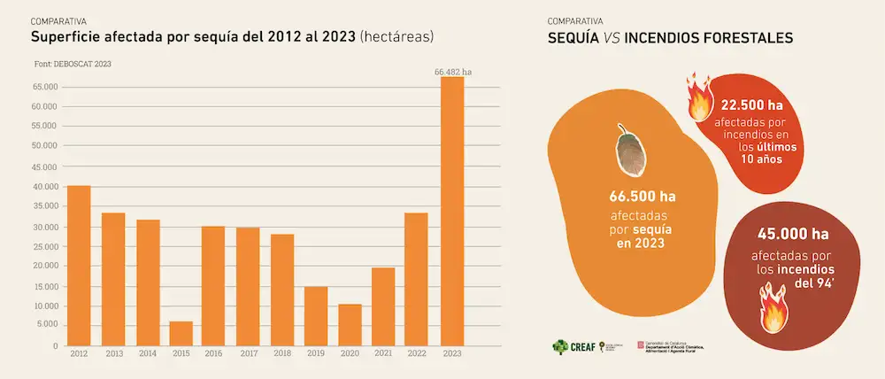 La campaña de 2023 presenta, de lejos, el récord de bosques afectados por sequía en Cataluña registrados desde que se inició el seguimiento del Deboscat, en 2012. Fuente: Deboscat La campaña de 2023 presenta, de lejos, el récord de bosques afectados por sequía en Cataluña registrados desde que se inició el seguimiento del Deboscat, en 2012. Fuente: Deboscat