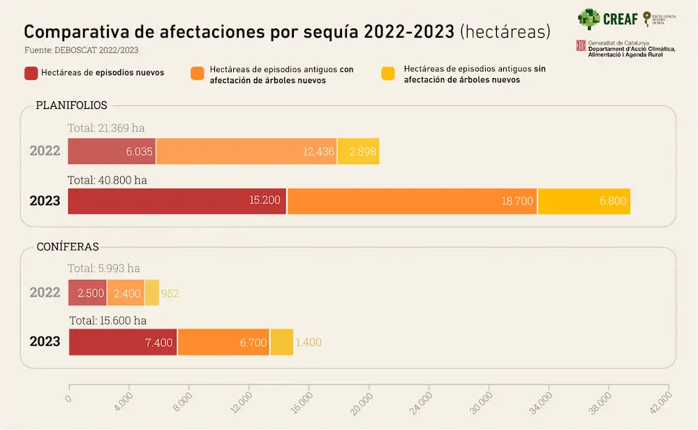 Comparativa de afectaciones por sequía entre los años 2022 y 2023 en relación a la especie. Fuente: Deboscat Comparativa de afectaciones por sequía entre los años 2022 y 2023 en relación a la especie. Fuente: Deboscat