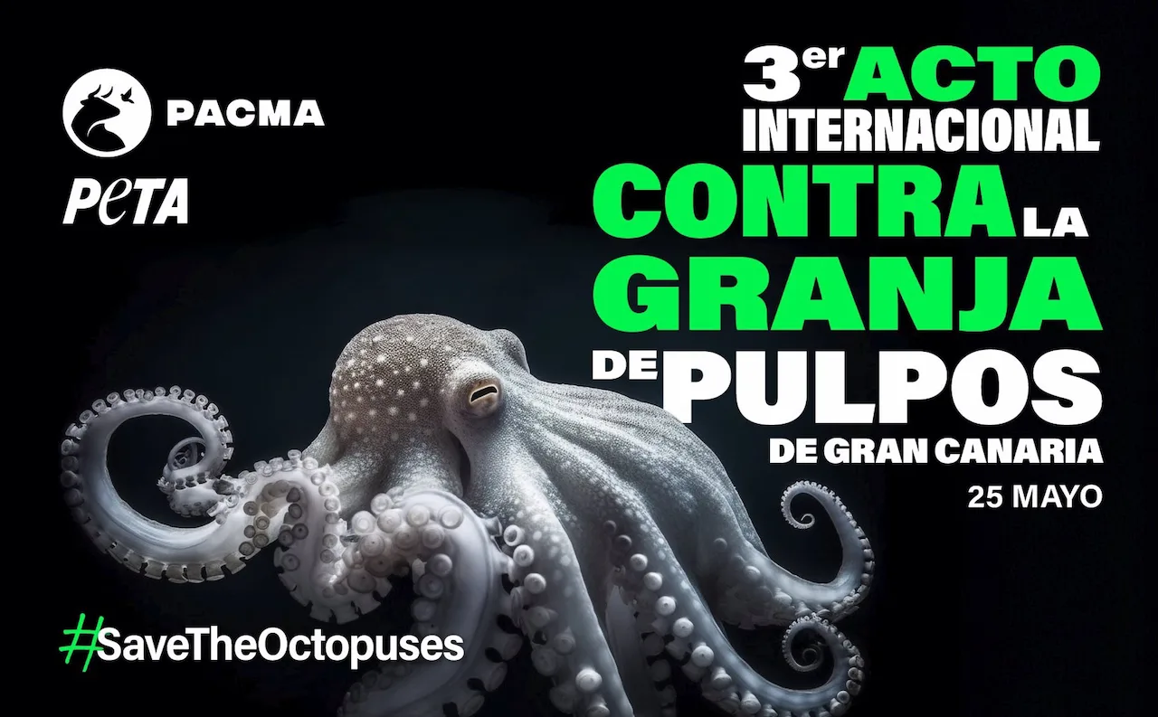 Protesta en playa del Inglés contra la granja de pulpos / Imagen: PACMA