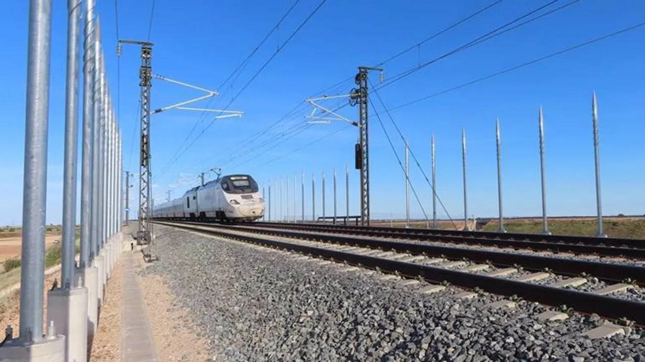 La homogenización de las aves por el tren de alta velocidad / Foto: EP
