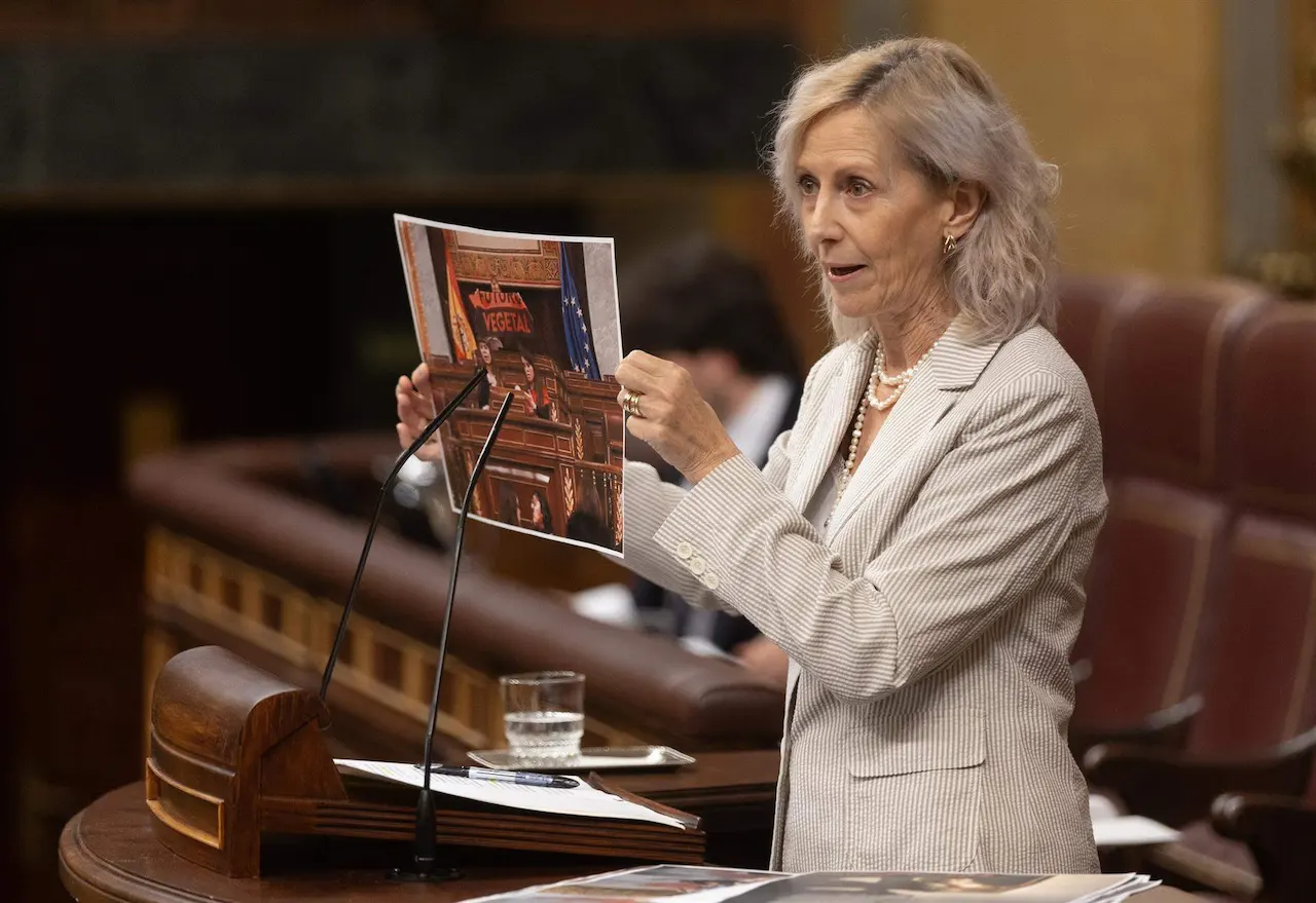 La diputada del PP muestra una imagen de un acto de protesta climática / Foto: EP