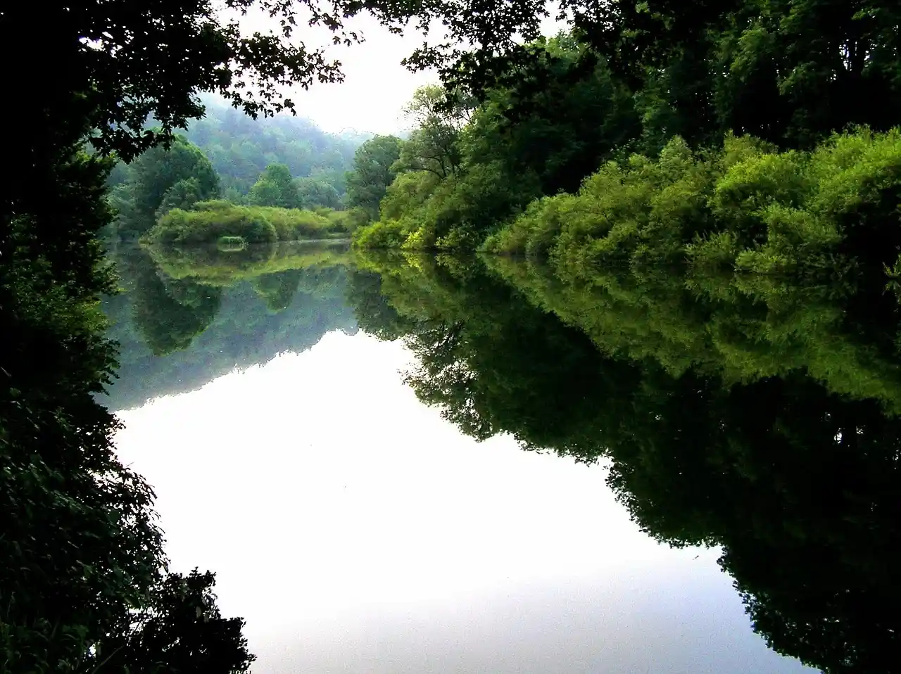 La Ley de Restauración de la Naturaleza, finalmente aprobada / Foto: PB