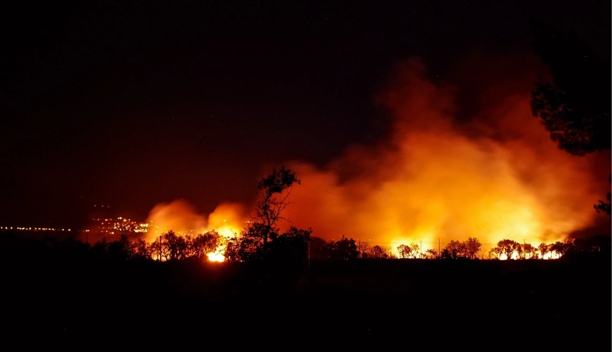 Incendios forestales: ¿algún país lo está haciendo bien?