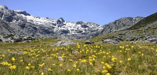 Parque Regional Picos de Europa, noreste de León / Foto: Junta CyL