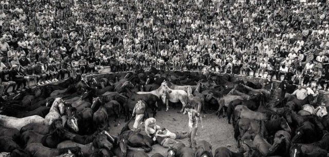 Una multitud llena las gradas que rodean el 'curro' o corral donde se marca y rapa a los animales / Foto: Javier Arcenillas