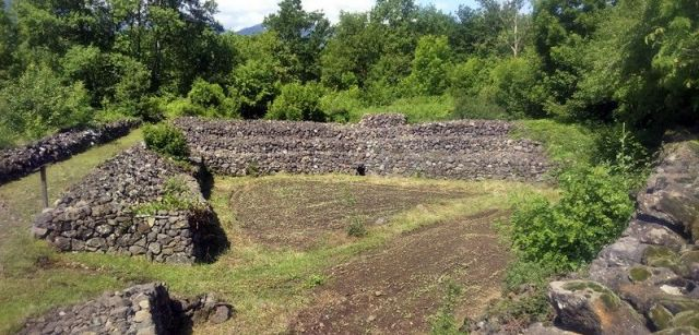 Una artiga, terreno agrícola ganado a la arboleda y a los conos volcánicos, en el Bosc de Tosca / Foto: FFM - EA