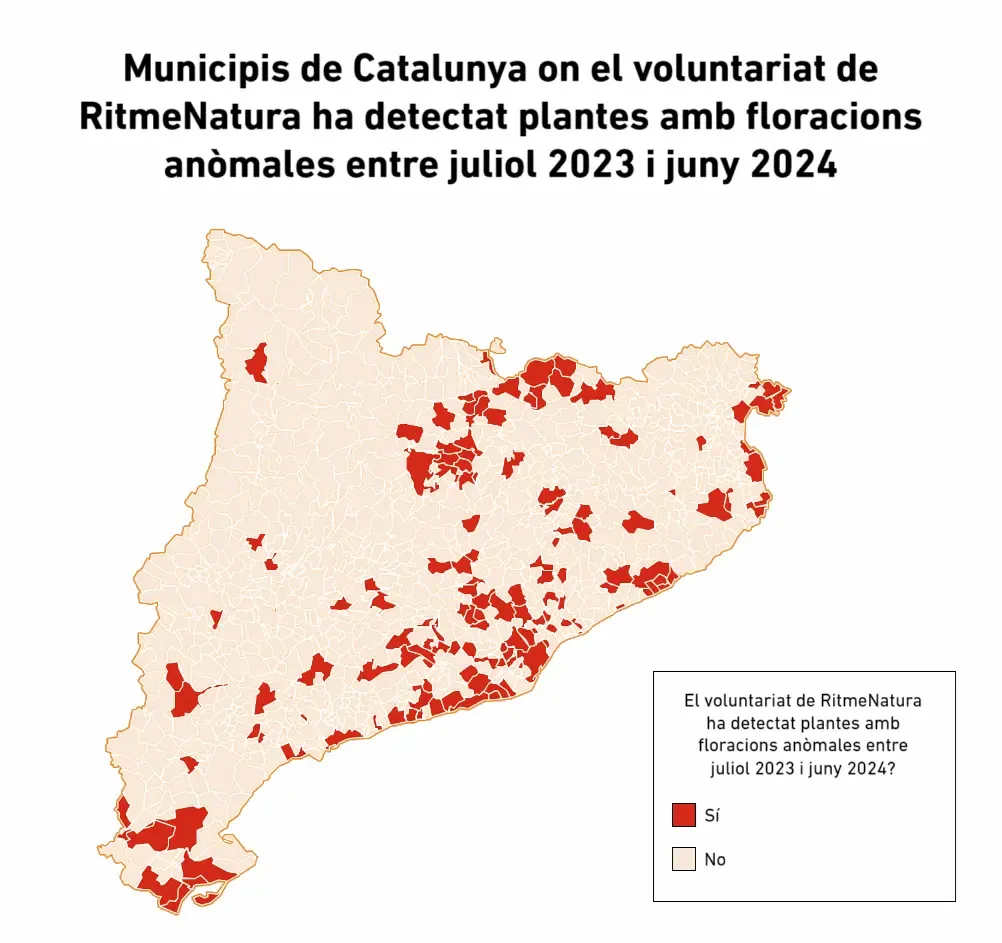 Mapa per municipis Mapa per municipis
