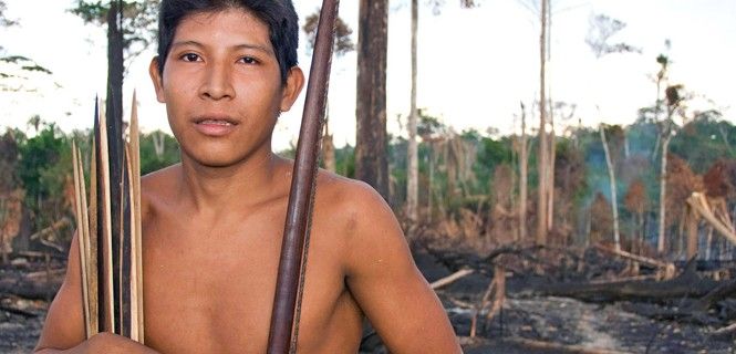 Hemokoma'á, un awá, frente a una zona devastada en Brasil  / Foto: Fiona Watson