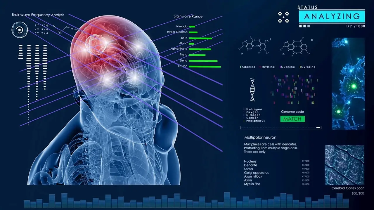 Los cambios cerebrales no son lineales con el aumento de la edad / Imagen: PB