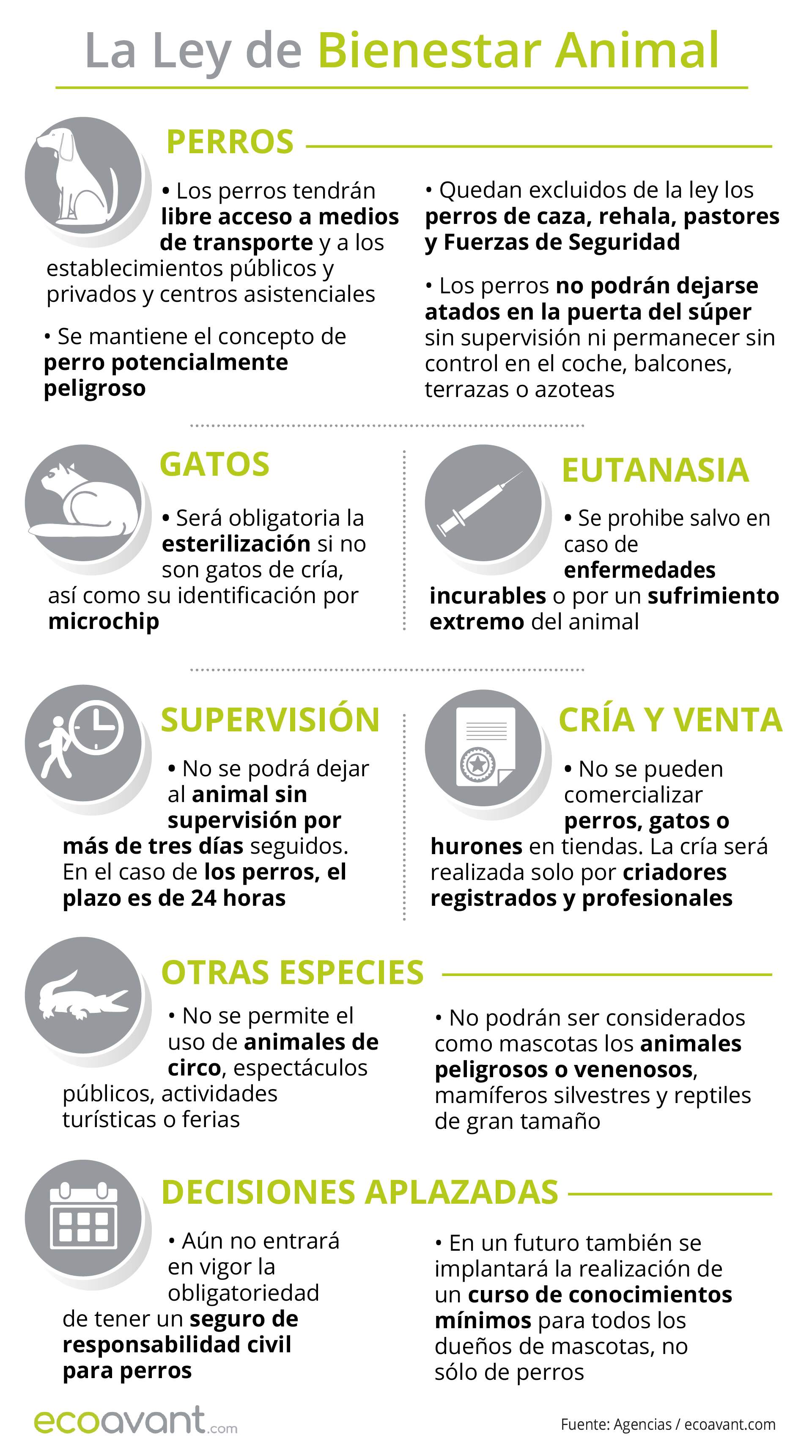 Principales aspectos que regula y aplaza la Ley de Bienestar Animal / Infografía: EA