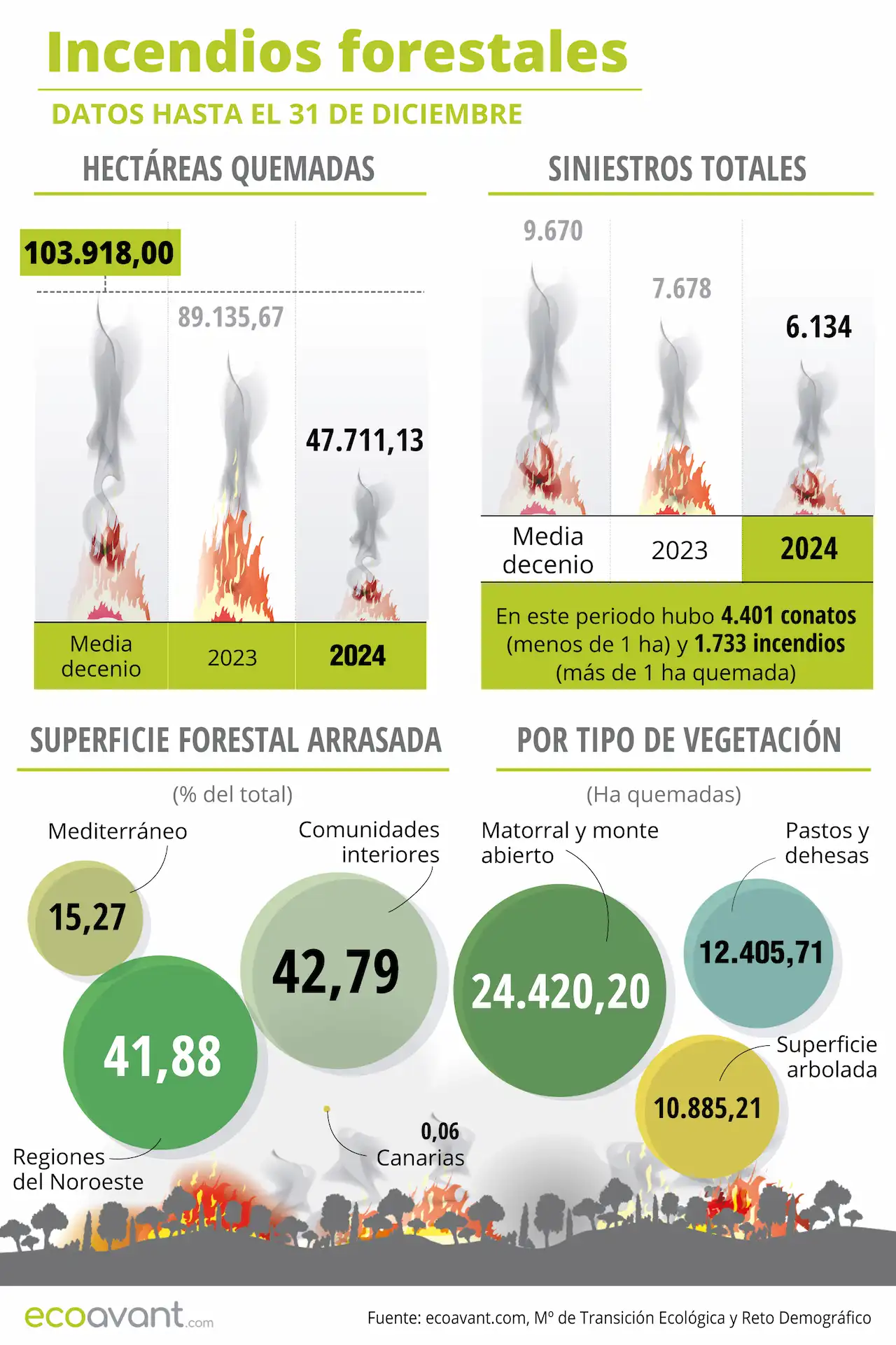 Incendios forestales en España en datos hasta el 31 de diciembre de 2024 / Foto: EA Incendios forestales en España en datos hasta el 31 de diciembre de 2024 / Foto: EA