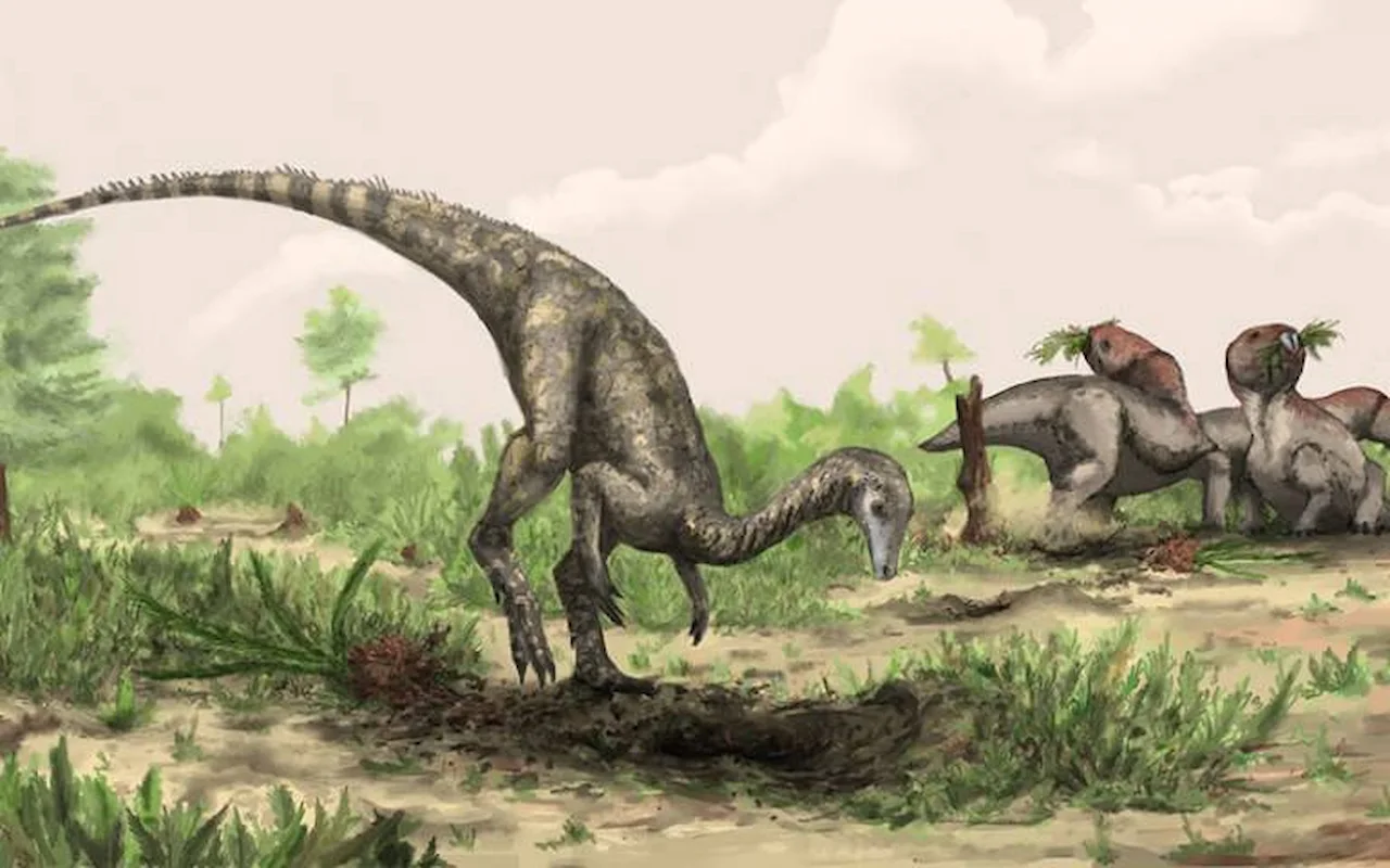 Los primeros dinosaurios podrían hallarse aún ocultos en el Amazonas y otras zonas ecuatoriales de Sudamérica y África / Imagen: EP