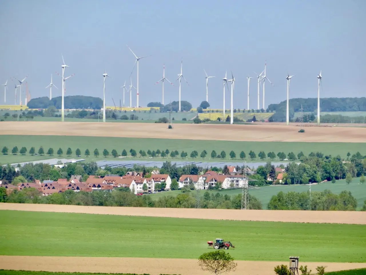 El estudio ha utilizado datos de varias zonas de Alemania.  Diversidad biológica / Foto:  Biodiversity Exploratories