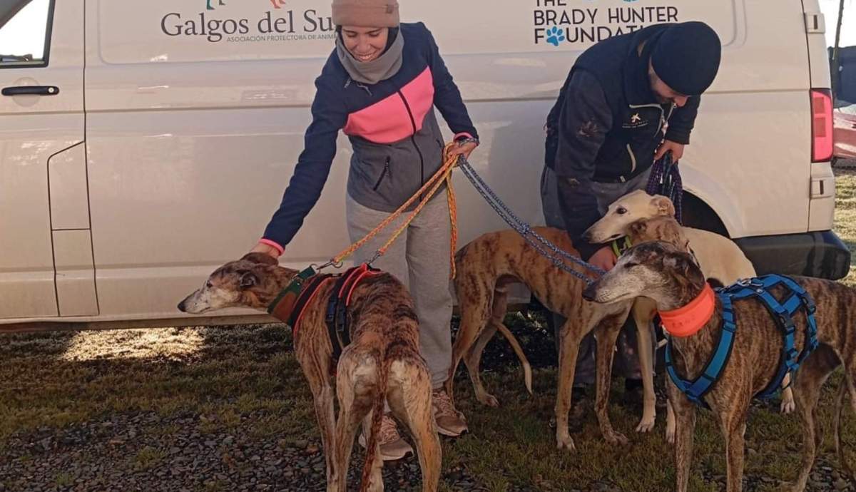 Galgos Del Sureste Sa De Cv
