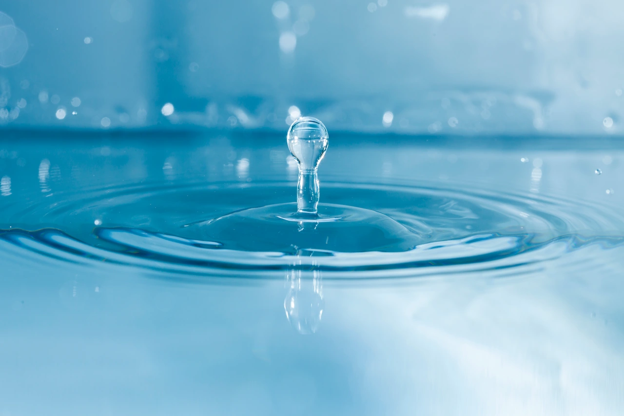 El XIV Foro de la Economía del Agua que se ha celebrado en Santiago de Chile / Foto: FP