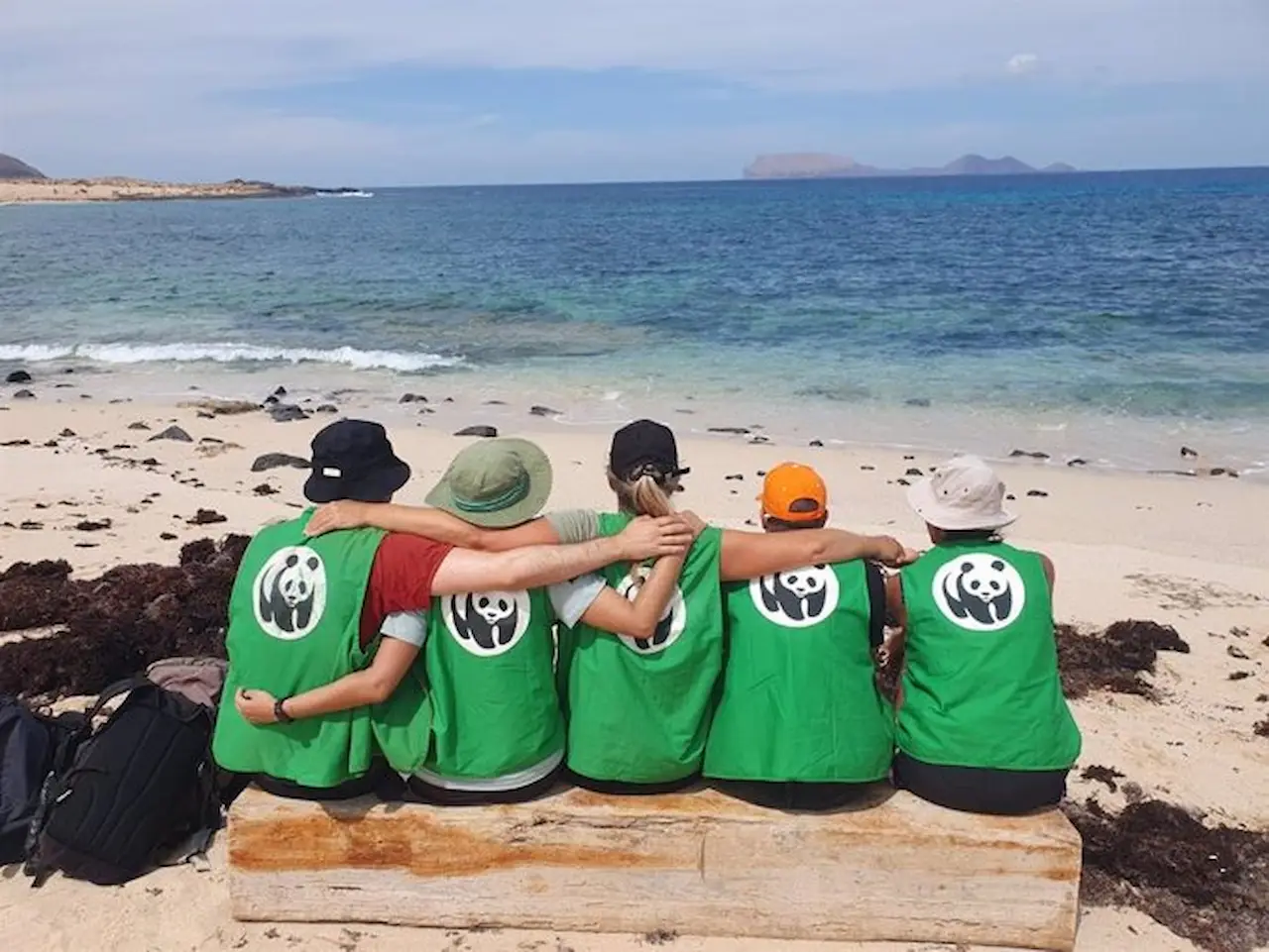 Voluntariado de verano en el Archipiélago Chinijo / Foto: WWF