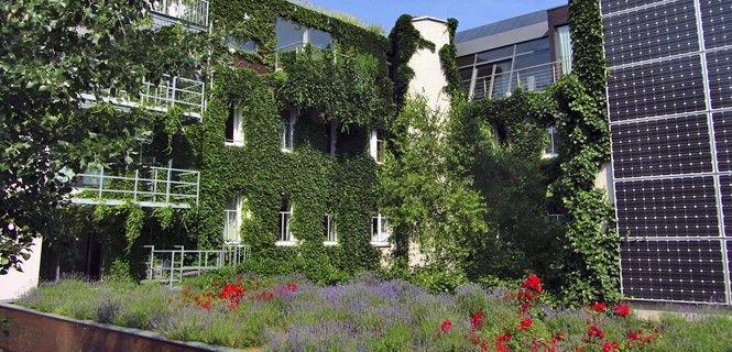 El Hotel Boutique Standhalle de Viena es el primero urbano del mundo sin emisiones de CO2  / Foto: BHS