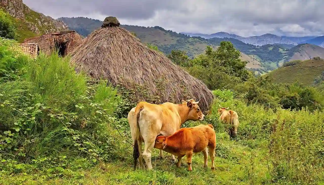 PNL pide plan estratégico para la producción y consumo ecológico / Foto: EP