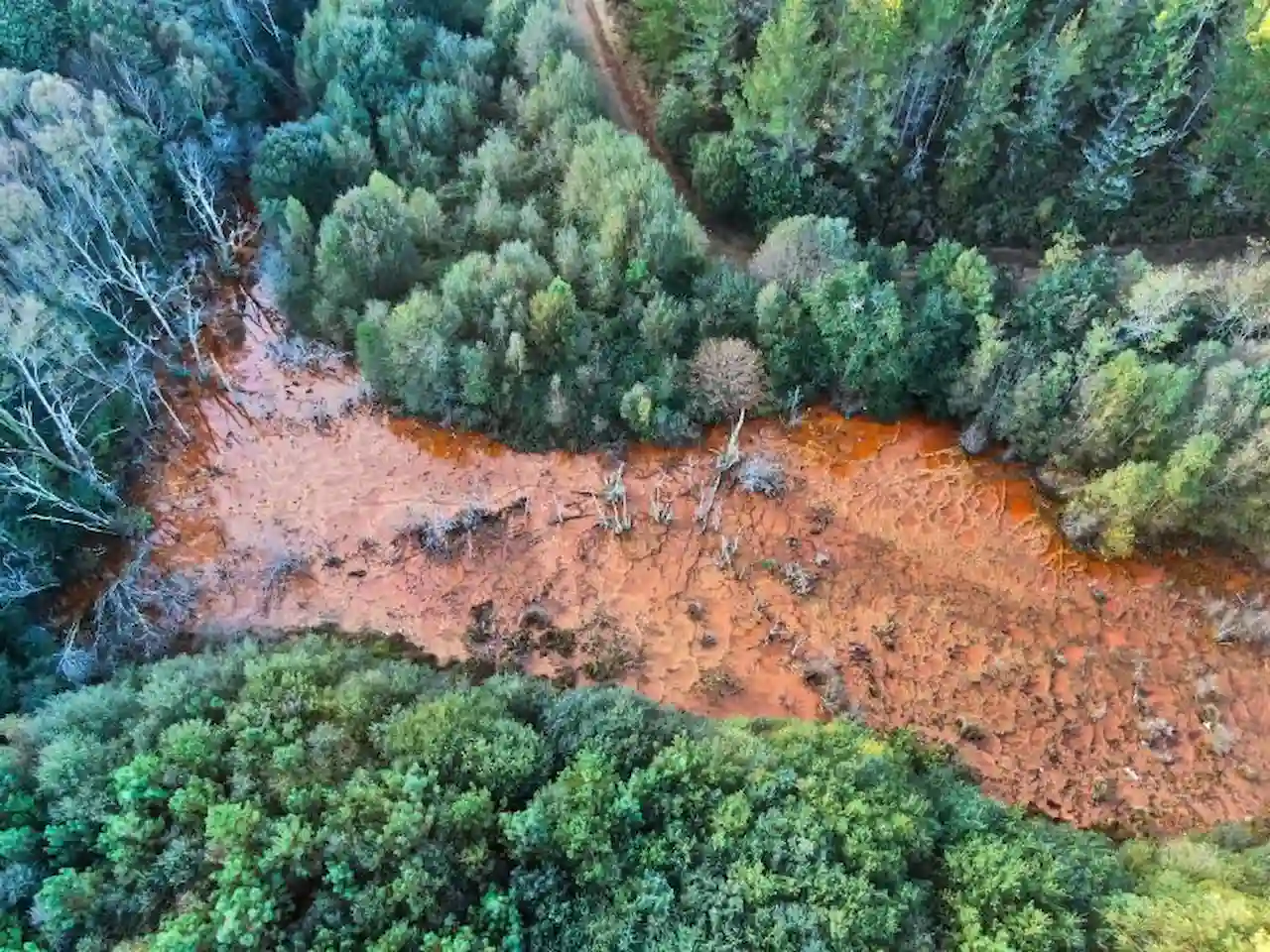 Seleccionados como “estratégicos” 7 proyectos dentro del Estado español.  Mina de Touro / Foto: Ecologistas en Acción