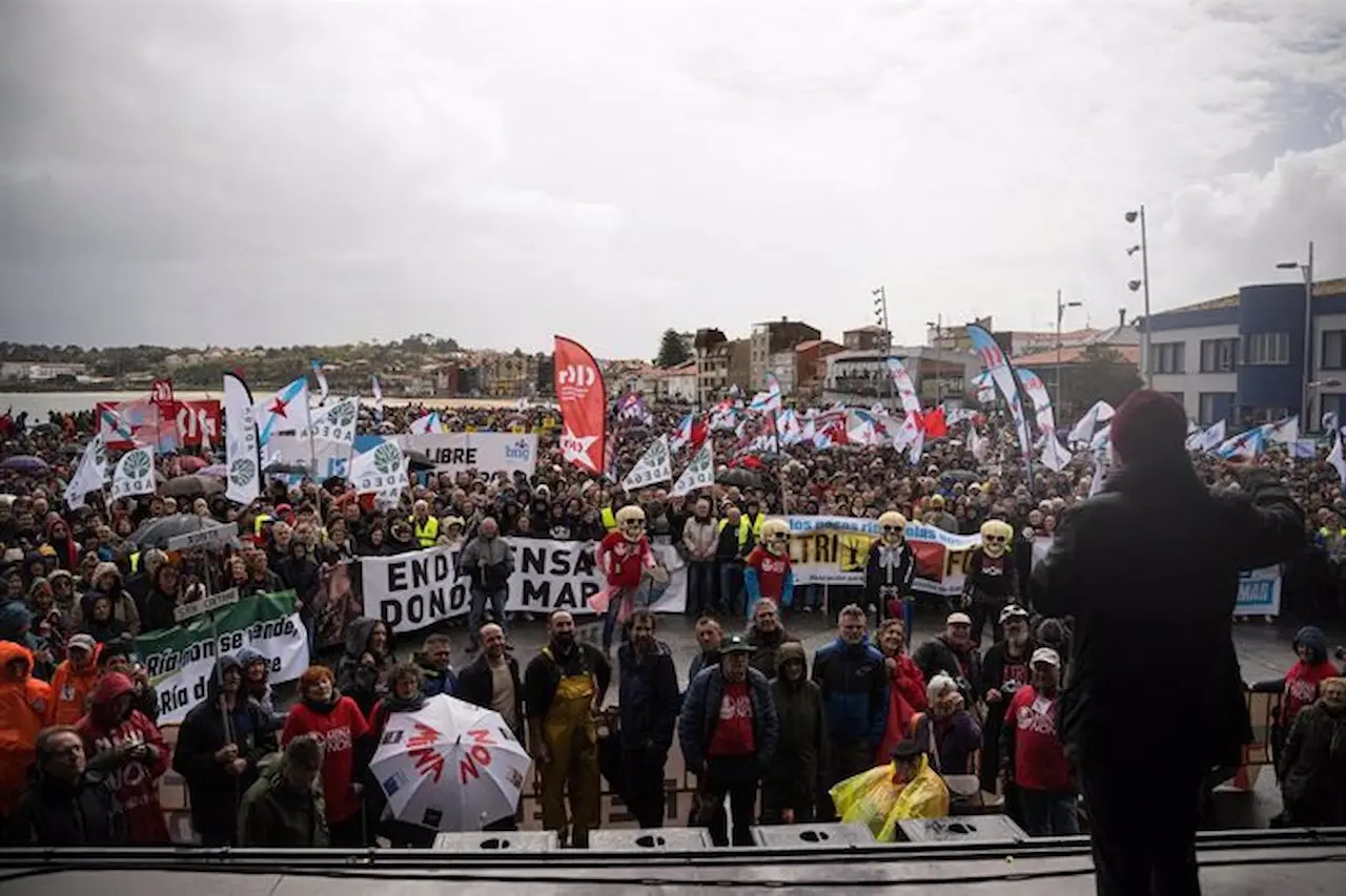 Miles de personas se manifiestan en contra del proyecto de la macrocelulosa, 'Altri No' / Foto: EP