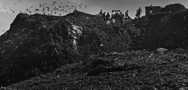 Los cuervos, palomas y gaviotas sobrevuelan la gran montaña de basura, buscando alimentación entre los escombros / Foto: Alfons Rodríguez