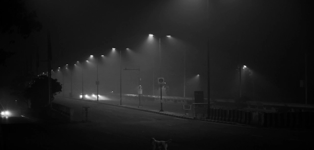 El cielo en Nueva Delhi es gris y hay una espesa capa de niebla contaminante. Es una de las ciudades con más problemas de contaminación del mundo / Foto: Alfons Rodríguez