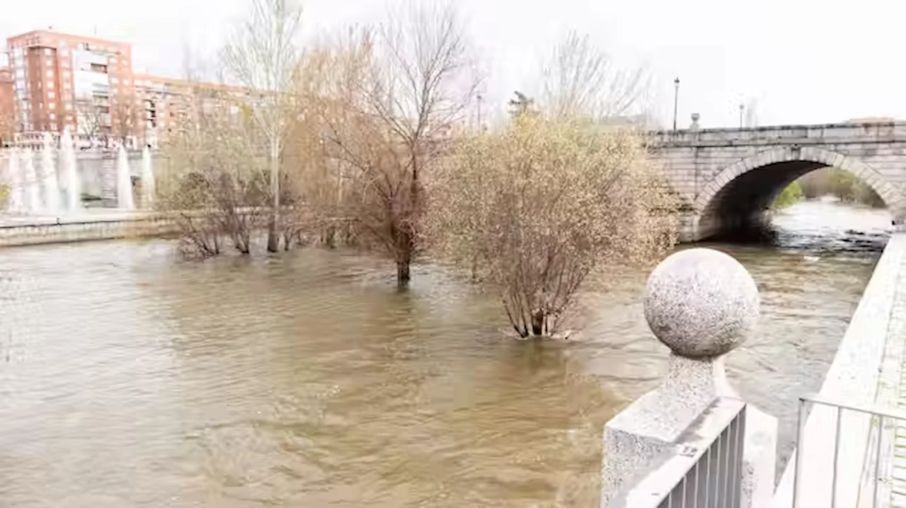 El río Manzanares, a punto de desbordarse debido a las lluvias de marzo de 2025. Desbordamiento de ríos / Foto: The Conversation