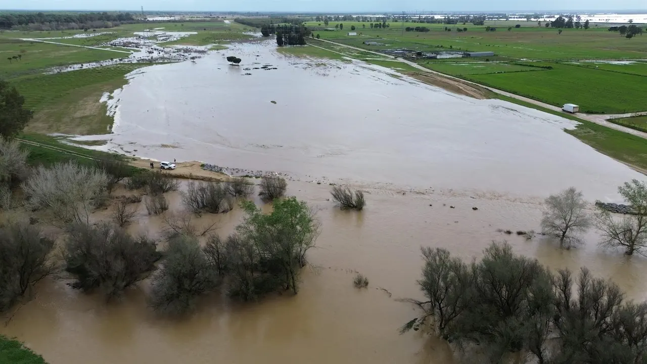 Situación actual del arroyo de El Partido, en Doñana / Foto: CHG